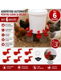Set 6 adăpători automate găini cu piuliță – sistem fără risipă apă
