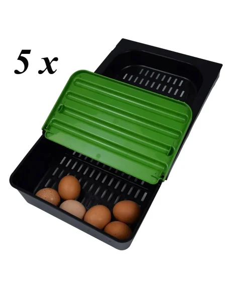 Tăvi cuibar găini set 5 buc | anti consum ouă | adapatoare.ro