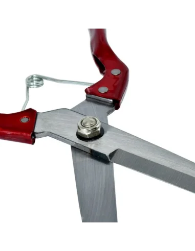 Foarfeca de tuns oi model HS02