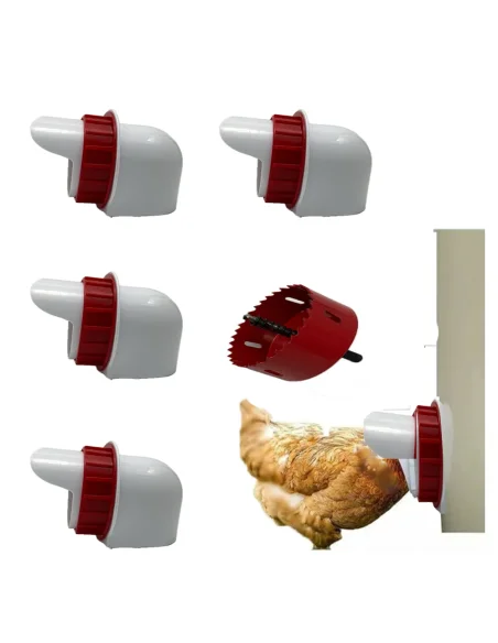 Set 4 hrănitoare automate păsări | cu carotă | adapatoare.ro