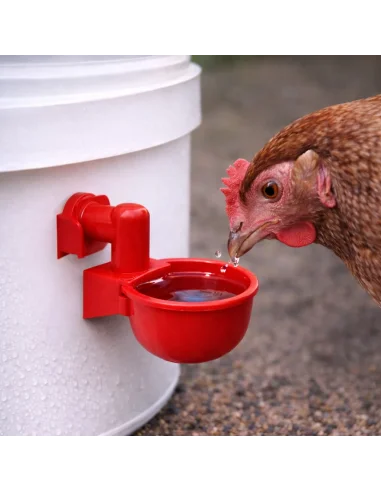 Adapatoare automata pentru gaini montata pe galeata