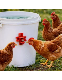 Adapatoare automata pentru pasari tip niplu montata pe galeata, utilizata de gaini