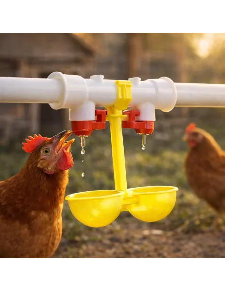 Adapatoare automata dubla pentru pasari cu niplu montata pe teava, gaina bea apa din sistem de adapare fara risipa