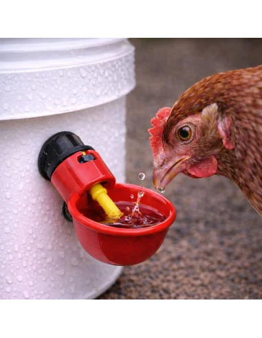 Adapatori automate pentru gaini cu alimentare constanta cu apa fara risipa