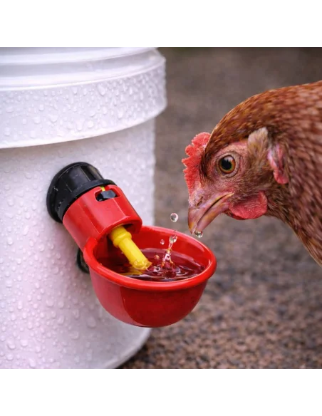 Adapatori automate pentru gaini cu alimentare constanta cu apa fara risipa