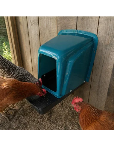 Cuibar găini montat pe perete utilizare reală