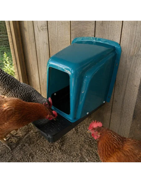 Cuibar găini montat pe perete utilizare reală