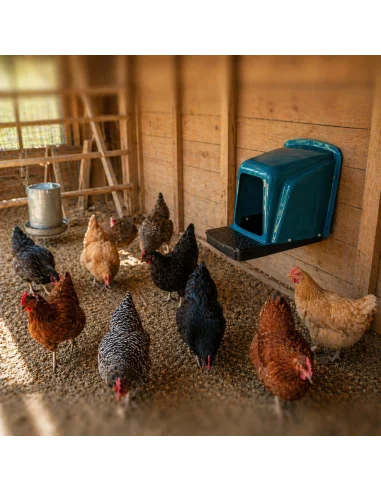 Cuibar găini în coteț utilizare cu păsări