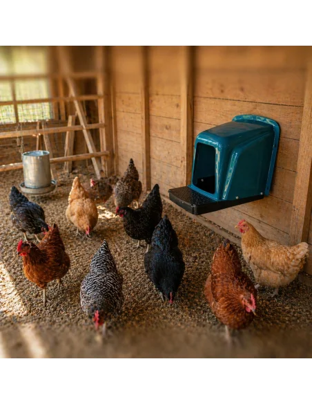 Cuibar găini în coteț utilizare cu păsări